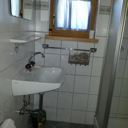 Schwab Brunner Almhuette Zum Entspannen Tatil Evi